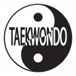 Tae Kwon Do Patch