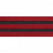 Red Belts With Double Black Stripes