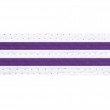 White Belts With Double Purple Stripes