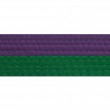Half Purple With Half Green Belt Keychain
