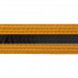 Gold With Black Stripe Belt Keychain